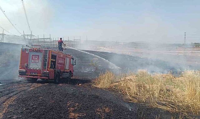 Siirt'te çıkan yangında ekili alanlar zarar gördü