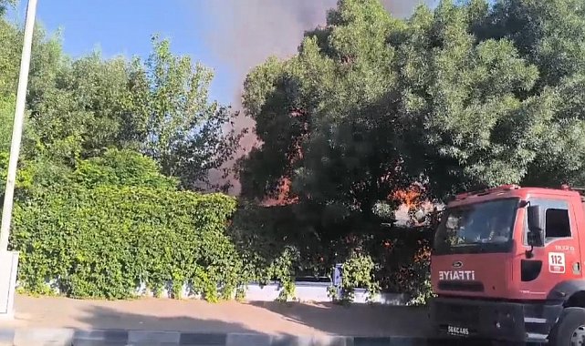 Siirt'te yanan işletme küle döndü