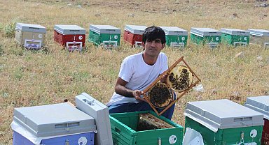 Siirtli arıcının arılarla kurduğu bağ görenleri şaşırtıyor