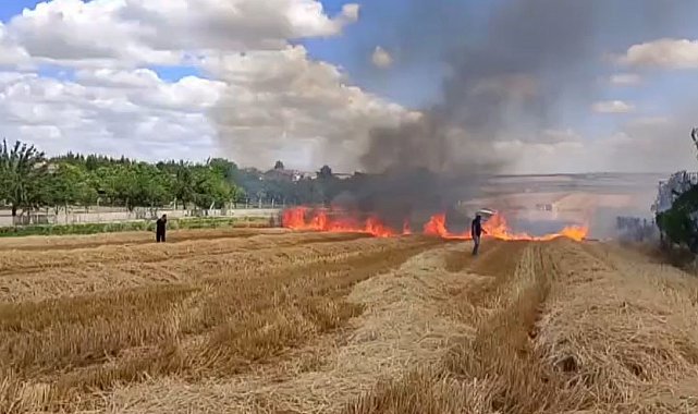 Silivri Çeltik Mahallesi'ndeki tarla yangını evlere ulaşmadan kontrol altına alındı