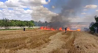 Silivri Çeltik Mahallesi'ndeki tarla yangını evlere ulaşmadan kontrol altına alındı