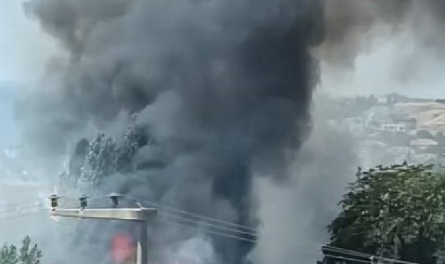 Silivri'de ot yangını: Bekçi kulübesi kül oldu