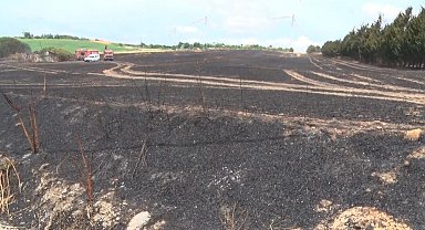 Silivri'de sigara izmariti 30 dönüm buğdayı küle çevirdi