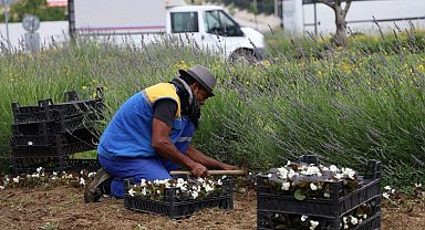 Silivri'de yaz aylarına hazırlıklar devam ediyor