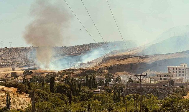 Silopi'de anız yangını, alevler 15 dönümü sardı