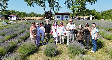 Sinop'ta lavanta kokulu gastronomi buluşması: Yöresel lezzetlere mor dokunuş