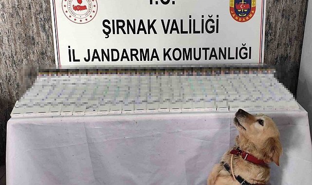 Şırnak'ta 281 bin 500 TL değerinde kaçak malzeme ele geçirildi