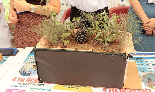 Şırnaklı öğrencilerden "Yakan Değil Söndüren Kozalak Projesi"