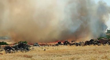 Siverek'te 50 dönümlük buğday ekili arazi yandı