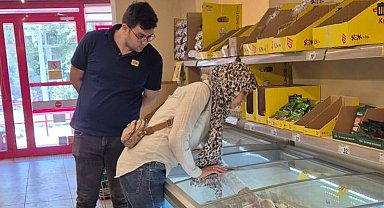 Söke'de riske dayalı gıda işletmeleri denetlendi