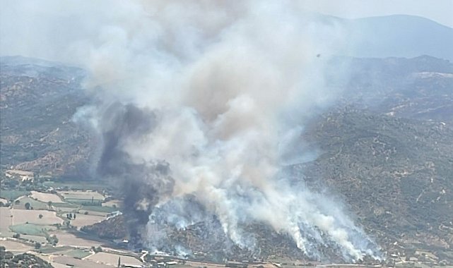 Söke'deki yangın kontrol altına alındı