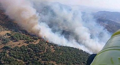 Söke'deki yangın kontrol altına alındı