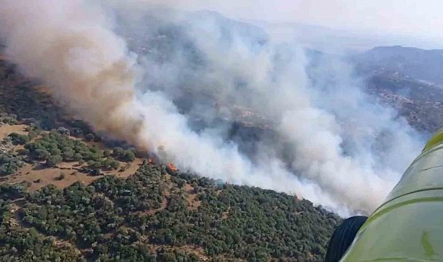 Söke'deki yangın kontrol altına alındı