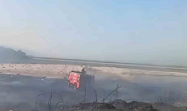 Söke'deki yangın korkuttu