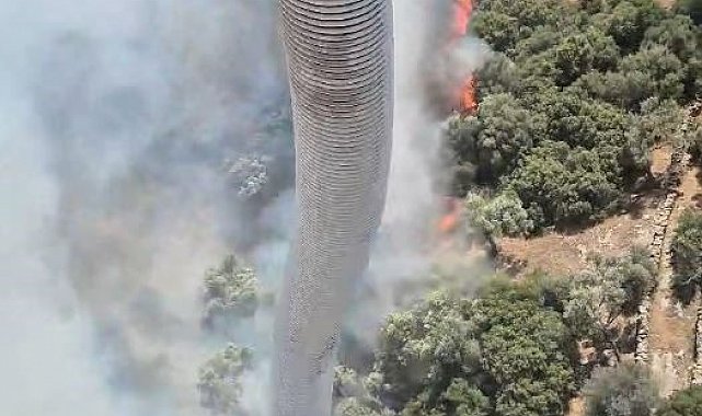Söke'deki yangına havadan müdahale yapılıyor