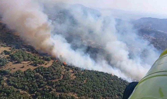 Söke'deki zirai alan yangına havadan yoğun müdahale