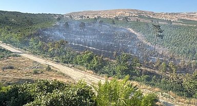 Soma'daki orman yangınları kontrol altına alındı
