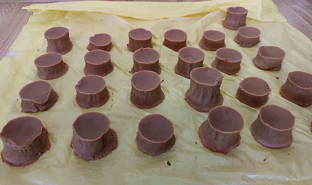 Somon balığı yağından sabun üretti