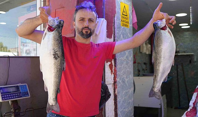 Somon en çok tercih edilen balık