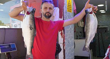 Somon en çok tercih edilen balık