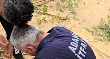 Su borusuna düşen yavru kedi kurtarıldı