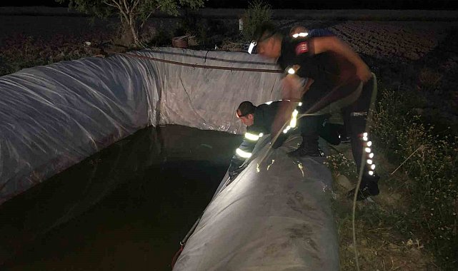 Su kuyusuna düşen sokak köpeği itfaiye ekiplerince kurtarıldı