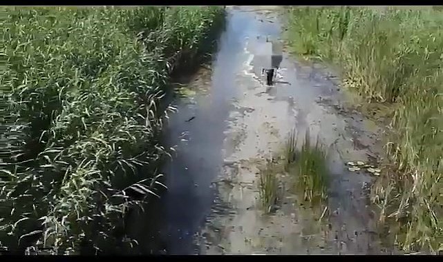 Sülük toplamak için gitti kayboldu