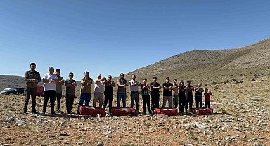 Süne böceğiyle mücadele için Arayıt Dağı'na 500 keklik salındı