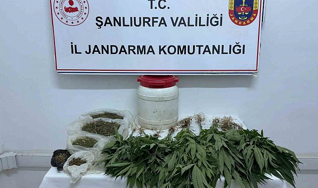 Suruç'ta uyuşturucu ele geçirildi