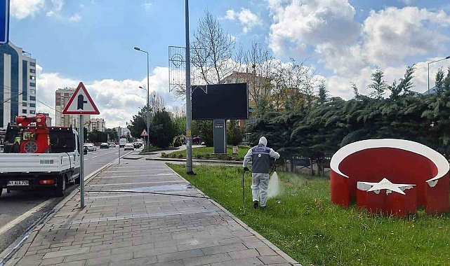 Talas'ta yaz boyunca haşereyle mücadele devam ediyor