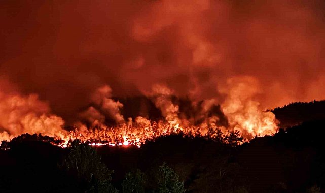 Taraklı'daki orman yangınına ilişkin gözaltına alınanlar serbest bırakıldı