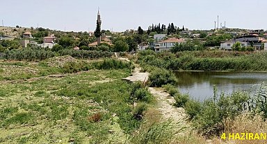 Tarihi köprüde sular yeşillendi, doğaseverler sorunlara dikkat çekti