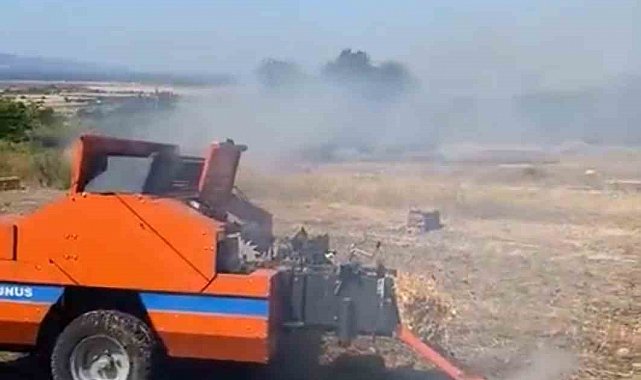 Tarım arazisinde başlayıp ormana sıçrayan yangının çıkış sebebi belirlendi