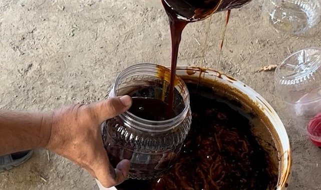 Tarım Müdürü Akar'dan kışa tatlı hazırlık