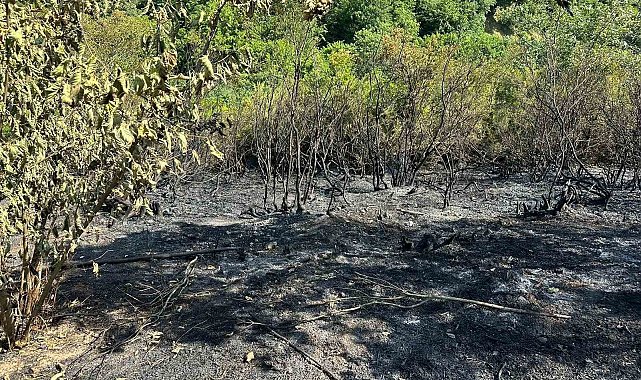 Tarla temizliğinden yangın çıktı