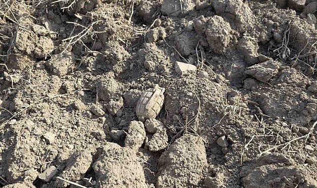 Tarlada Sakarya Meydan Muharebesinden kalma patlamamış el bombası buldu