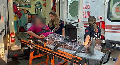 Taşlı saldırıya uğrayan kadın yaralandı