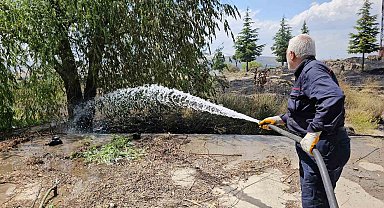 Tatvan'da çıkan yangında 50 dönümlük alan küle döndü