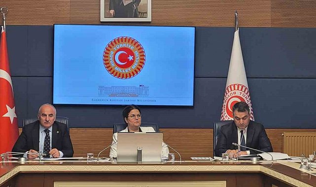 TBMM İnsan Haklarını İnceleme Komisyonu, alt komisyonların kurulması amacıyla toplandı