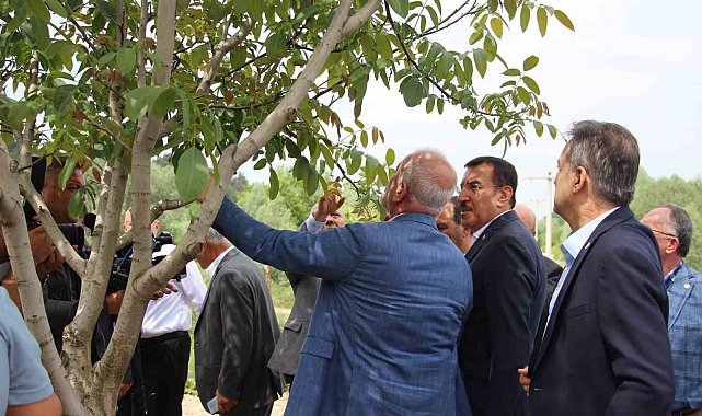 TBMM Zirai Don Araştırma Komisyonu, Bolu'da inceleme yaptı
