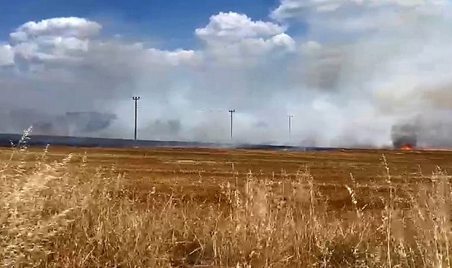 Tekirdağ'da anız yangını mahalleyi tehdit etti