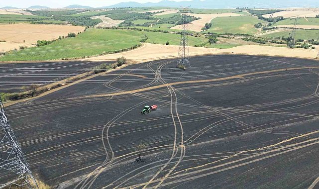 Tekirdağ'da buğday tarlasında çıkan yangında 250 dönüm kül oldu
