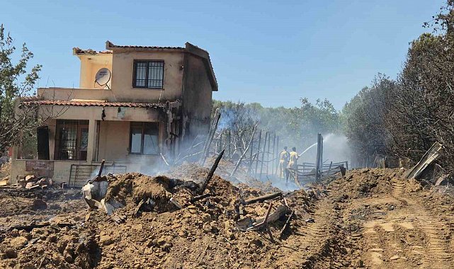 Tekirdağ'da çıkan yangın 2 eve sıçradı, 100 dönüm alan kül oldu