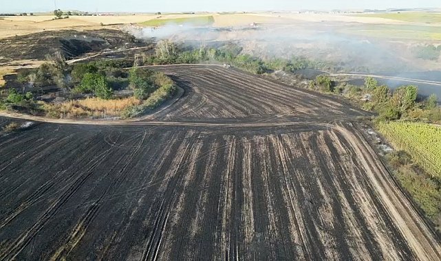Tekirdağ'da çıkan yangında bin 500 dekarlık tarım arazisi zarar gördü