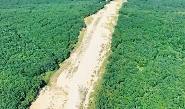 Tekirdağ'da orman nöbeti: Jandarma kaçak kesimlere geçit vermiyor