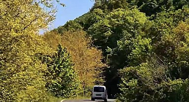 Tekirdağ'da ormanlara girişler yasaklandı