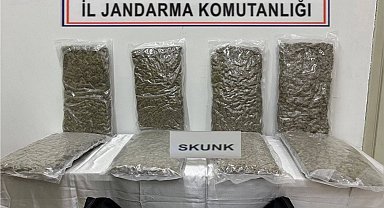 Tekirdağ'da otoyol gişelerinde 12 kilogram skunk ele geçirildi