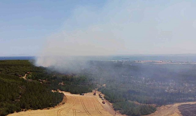 Tekirdağı'nda ormanlık alanda yangına müdahale sürüyor
