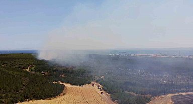 Tekirdağı'nda ormanlık alanda yangına müdahale sürüyor