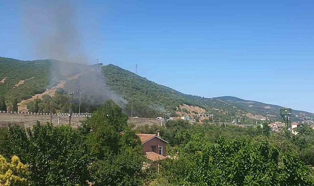TEM Otoyolu kenarında başlayan yangın ormana sıçradı: 2 saatte söndürüldü
